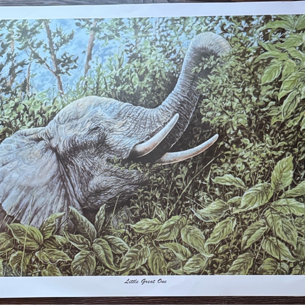 Elephant Art Print Signed And Numbered By Gail AdamsGreen Approx 29x21 inches